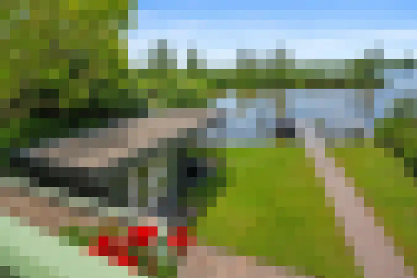 Rietgors 8 Wildervank thumbnail 24