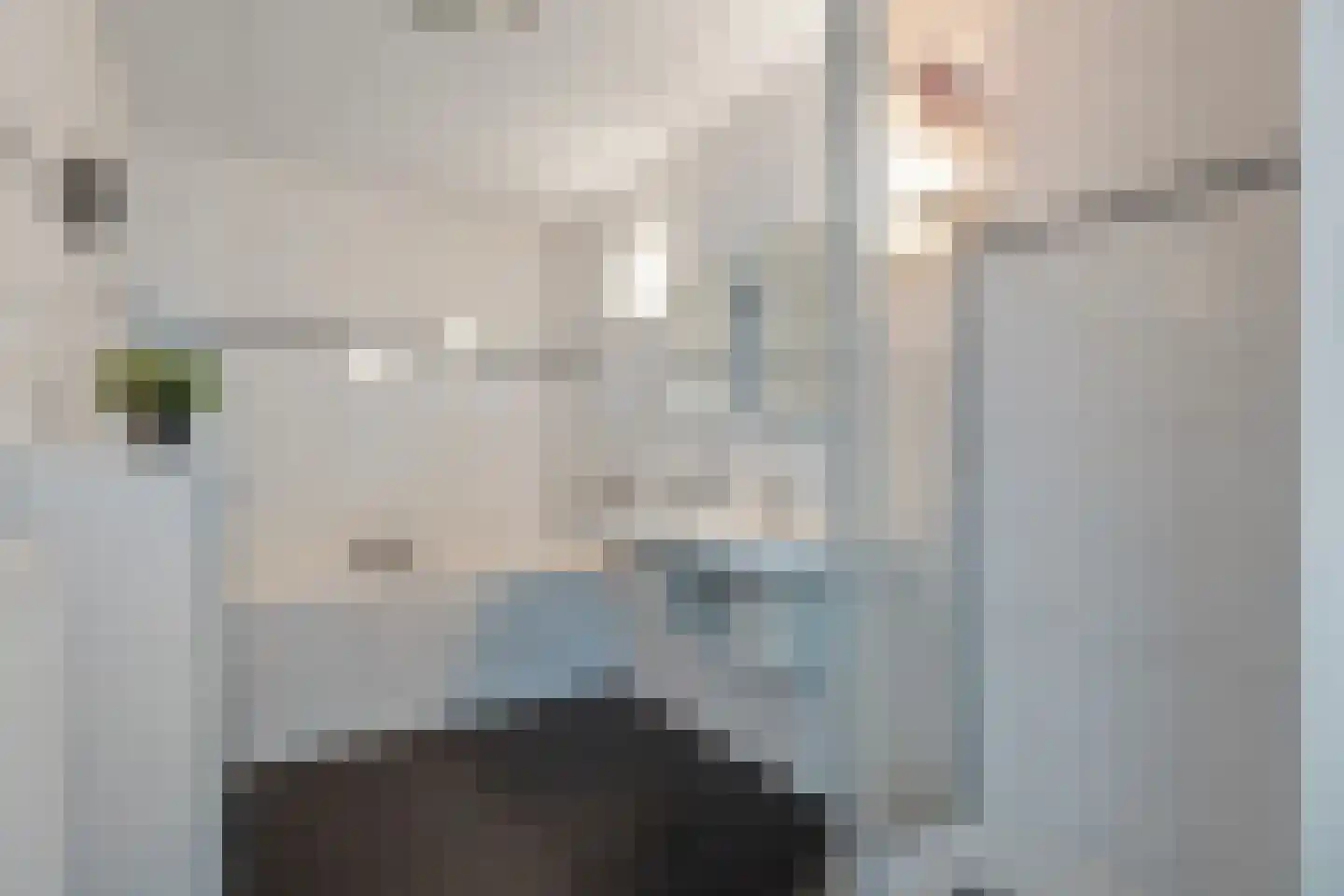 Rietgors 8 Wildervank thumbnail 27
