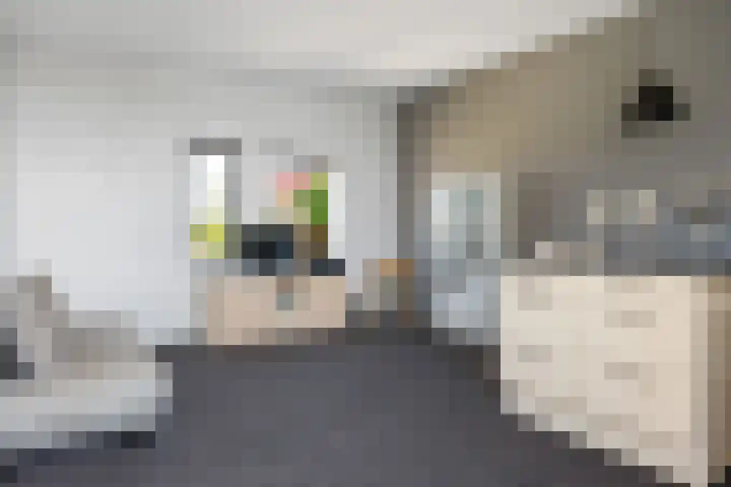 Rietgors 8 Wildervank thumbnail 30
