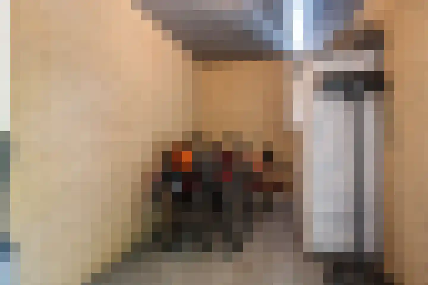 Rietgors 8 Wildervank thumbnail 35