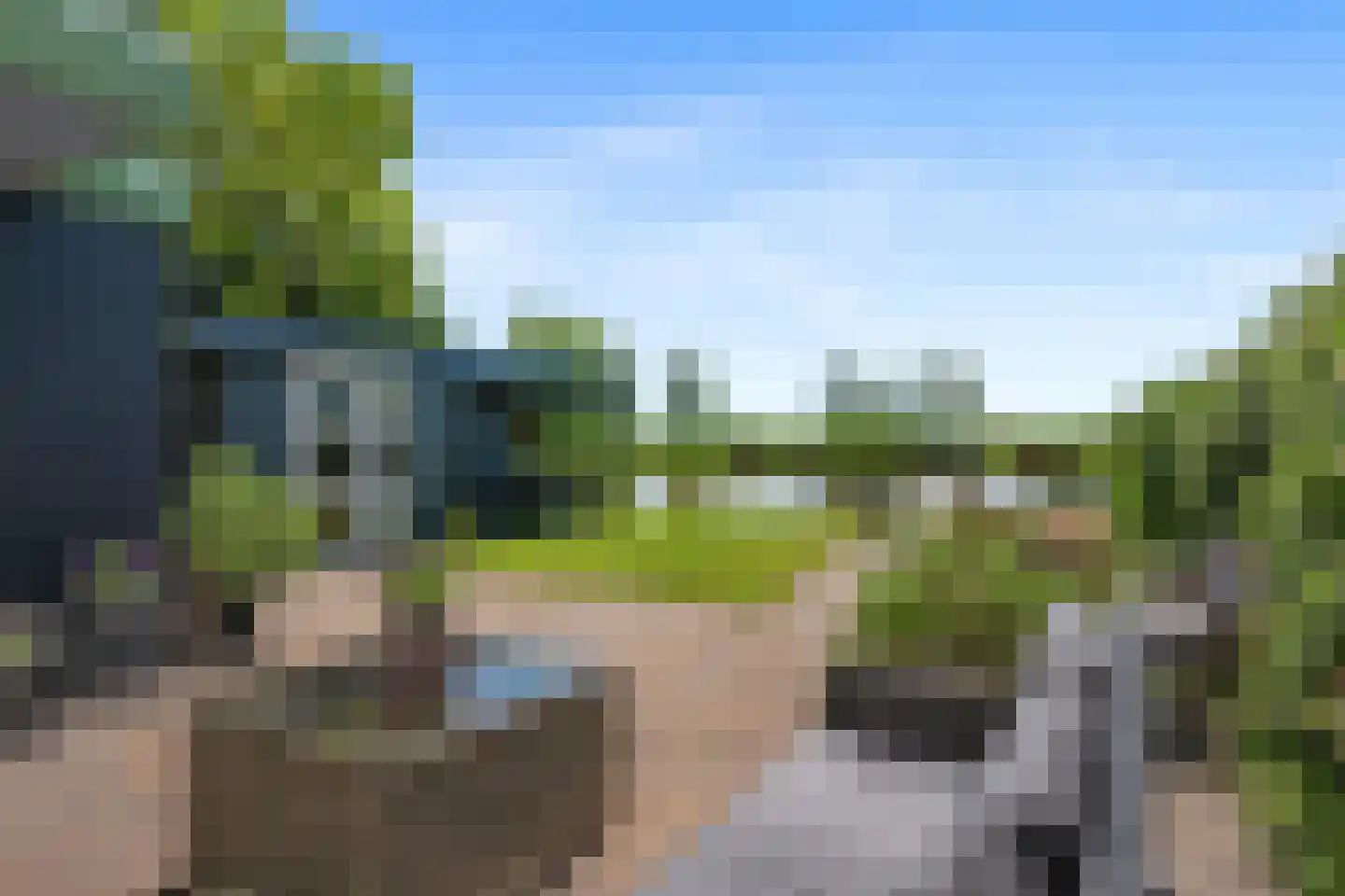 Rietgors 8 Wildervank thumbnail 4