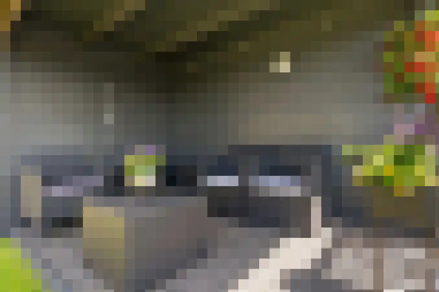 Rietgors 8 Wildervank thumbnail 40