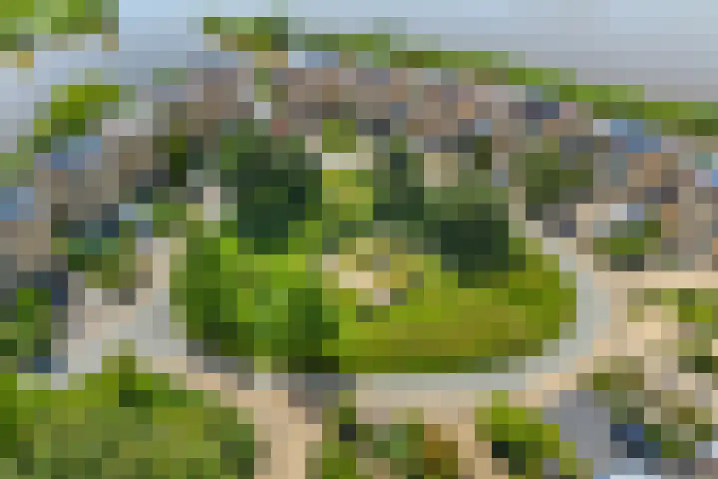 Rietgors 8 Wildervank thumbnail 45