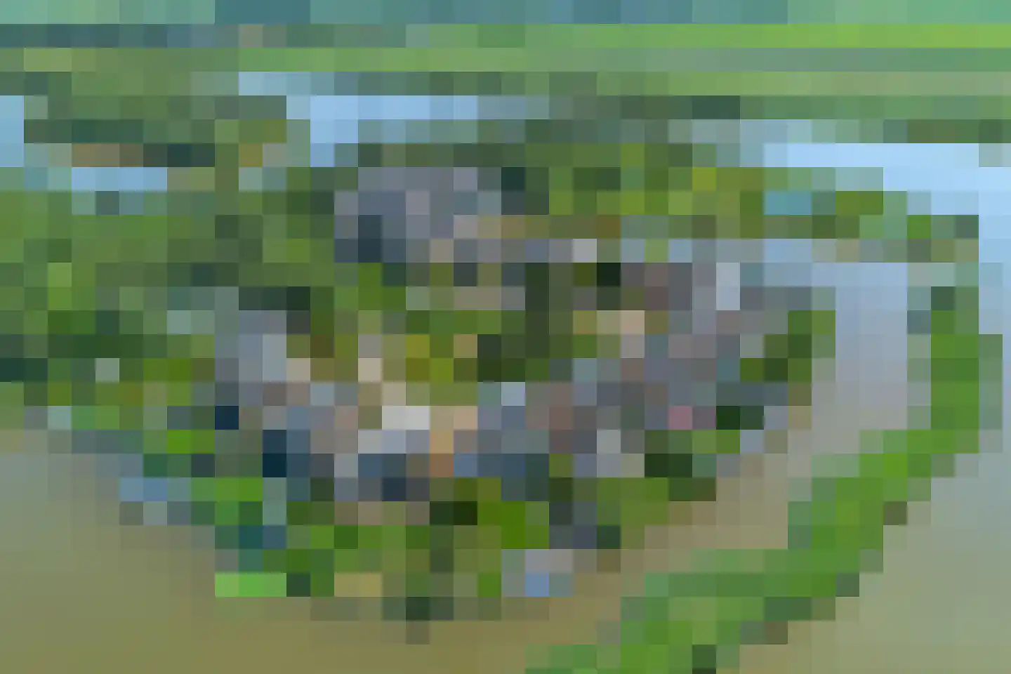 Rietgors 8 Wildervank thumbnail 5