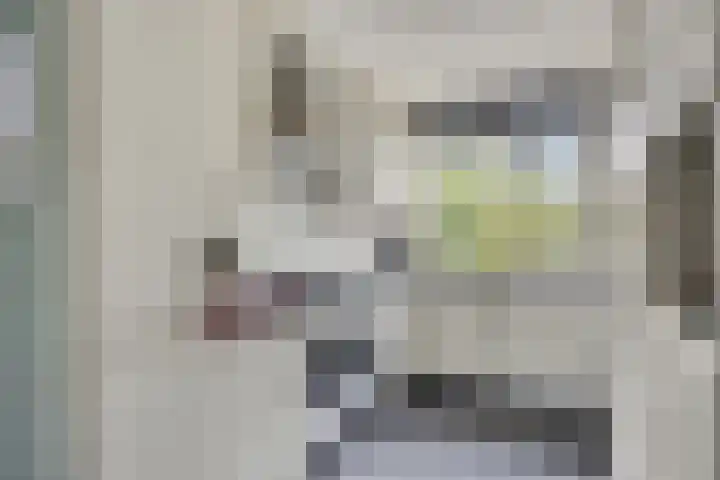 Rietgors 9 Barendrecht thumbnail 10