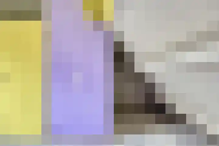 Rietgors 9 Barendrecht thumbnail 30