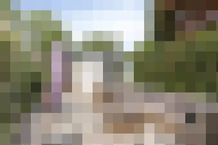 Rietgors 9 Barendrecht thumbnail 31
