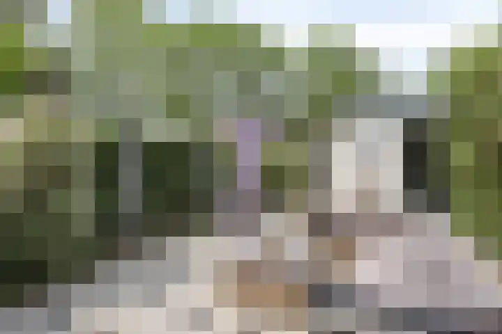 Rietgors 9 Barendrecht thumbnail 32