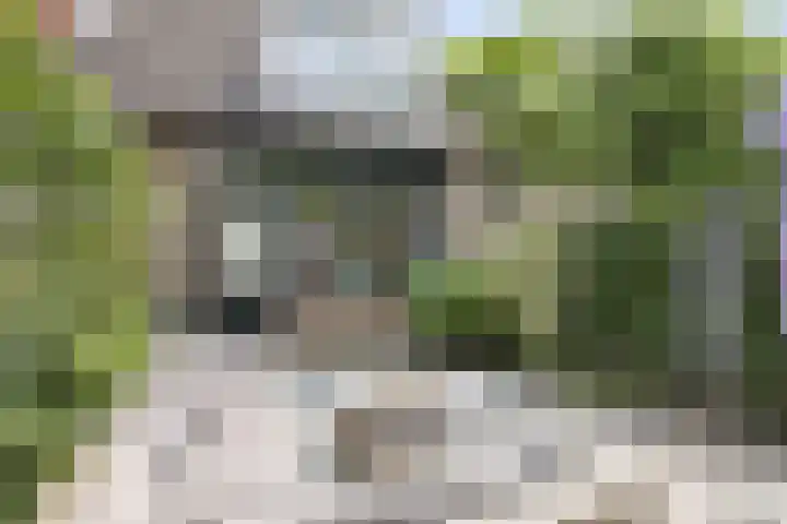 Rietgors 9 Barendrecht thumbnail 35