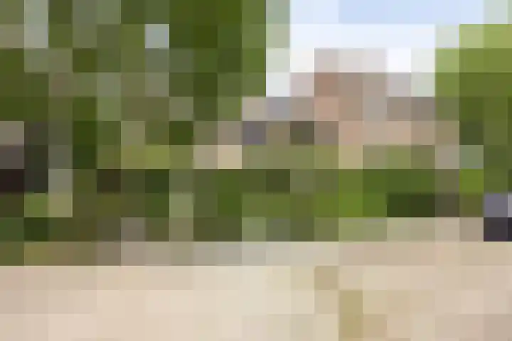 Rietgors 9 Barendrecht thumbnail 36
