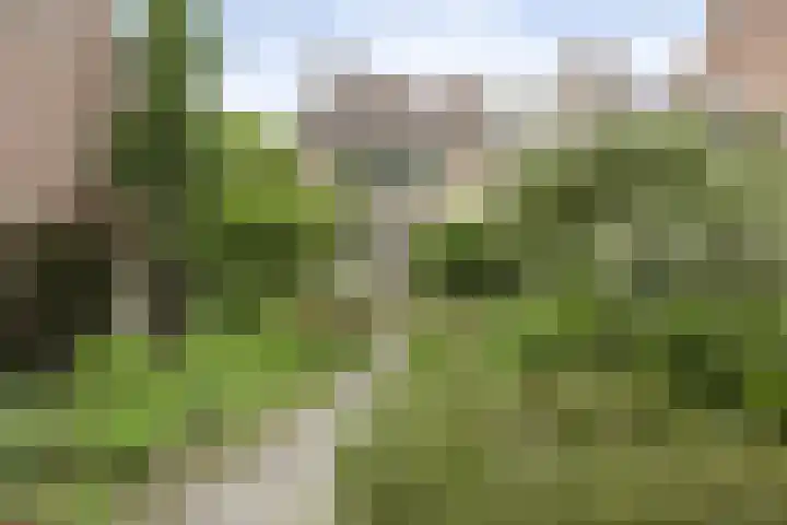 Rietgors 9 Barendrecht thumbnail 38
