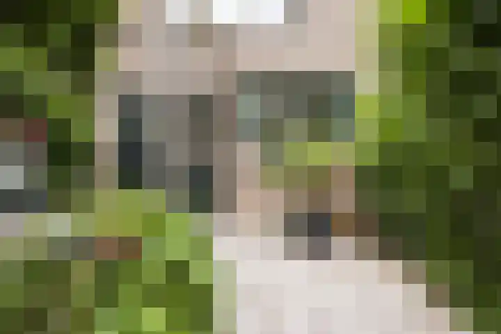 Rietgors 9 Barendrecht thumbnail 39