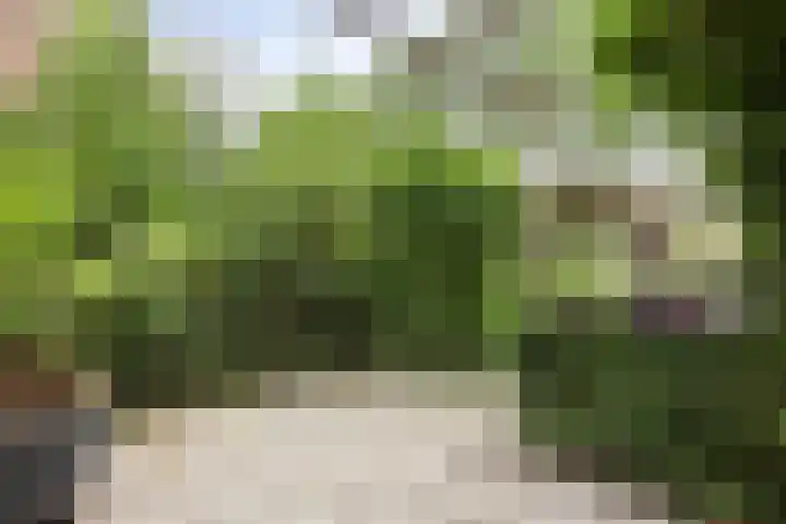 Rietgors 9 Barendrecht thumbnail 40