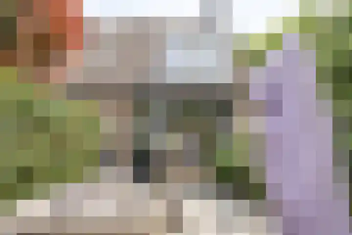 Rietgors 9 Barendrecht thumbnail 5