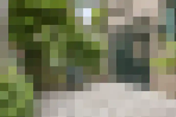 Rietgors 9 Barendrecht thumbnail 6