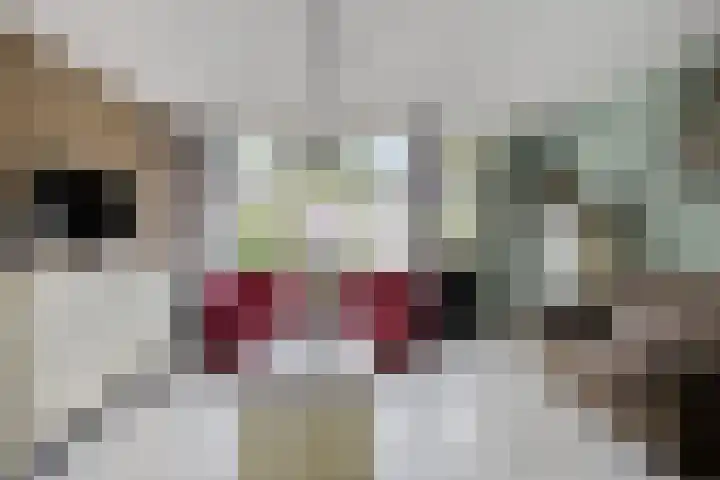 Rietgors 9 Barendrecht thumbnail 8