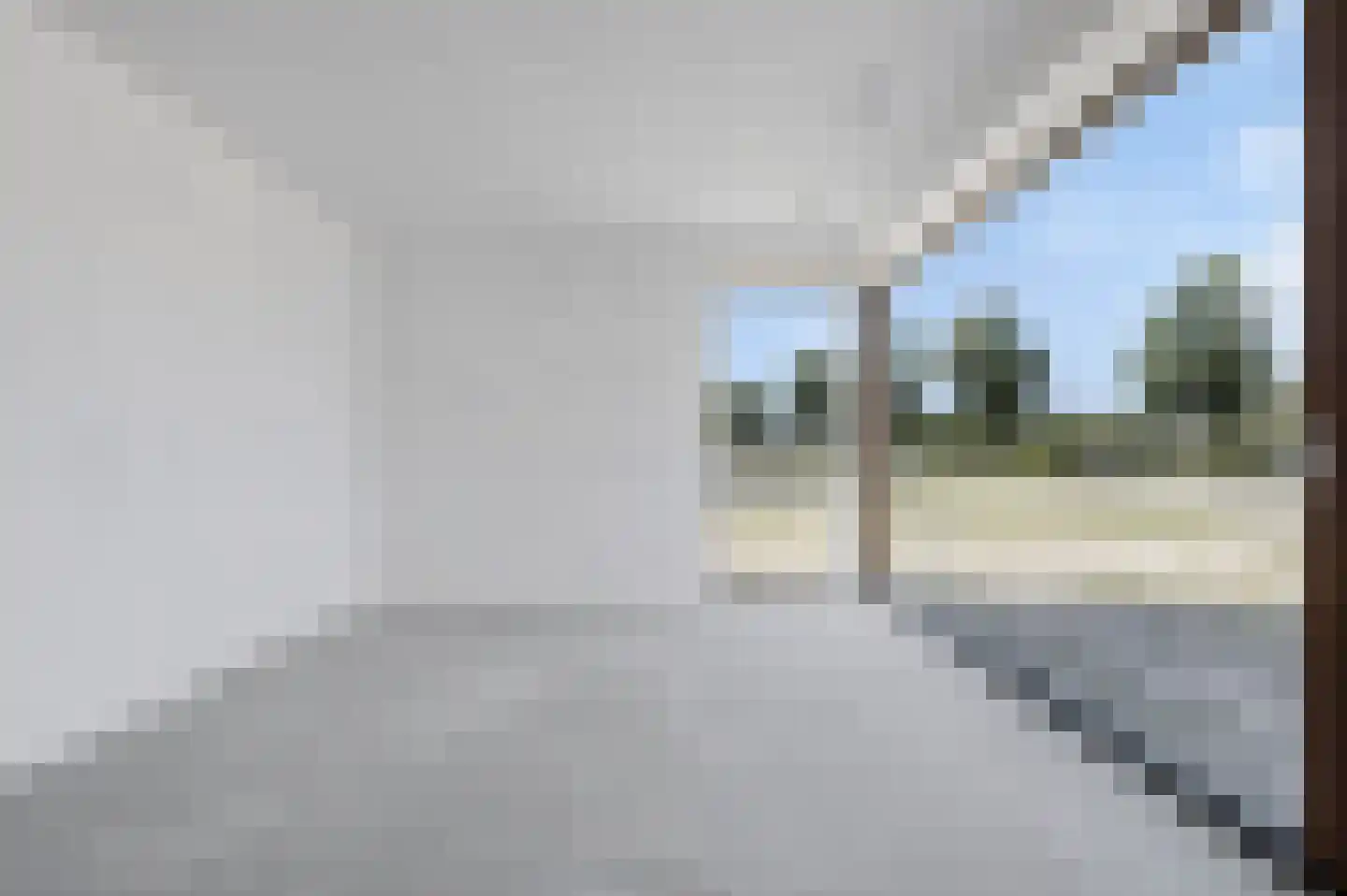 Rietgors 9 Bergen op Zoom thumbnail 17