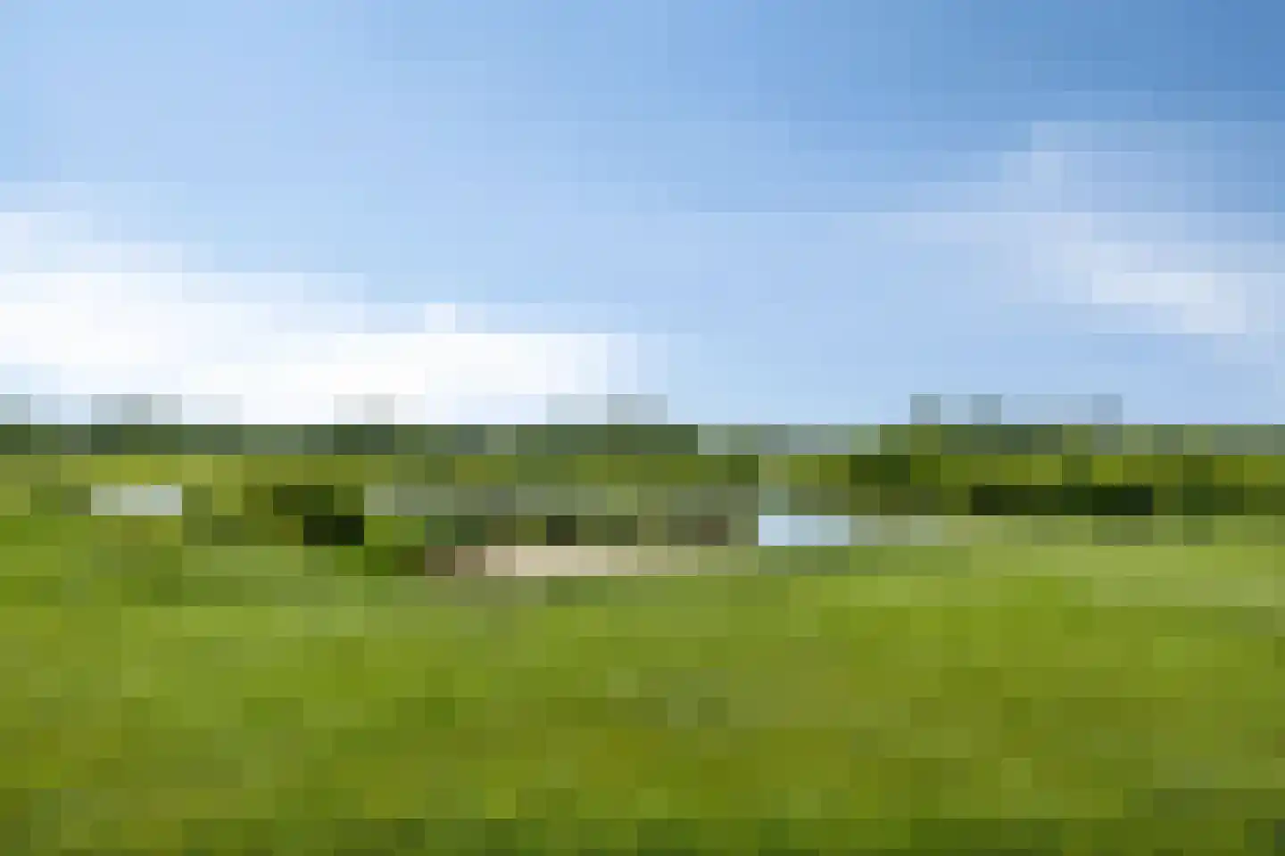 Rietgors 9 Bergen op Zoom thumbnail 26