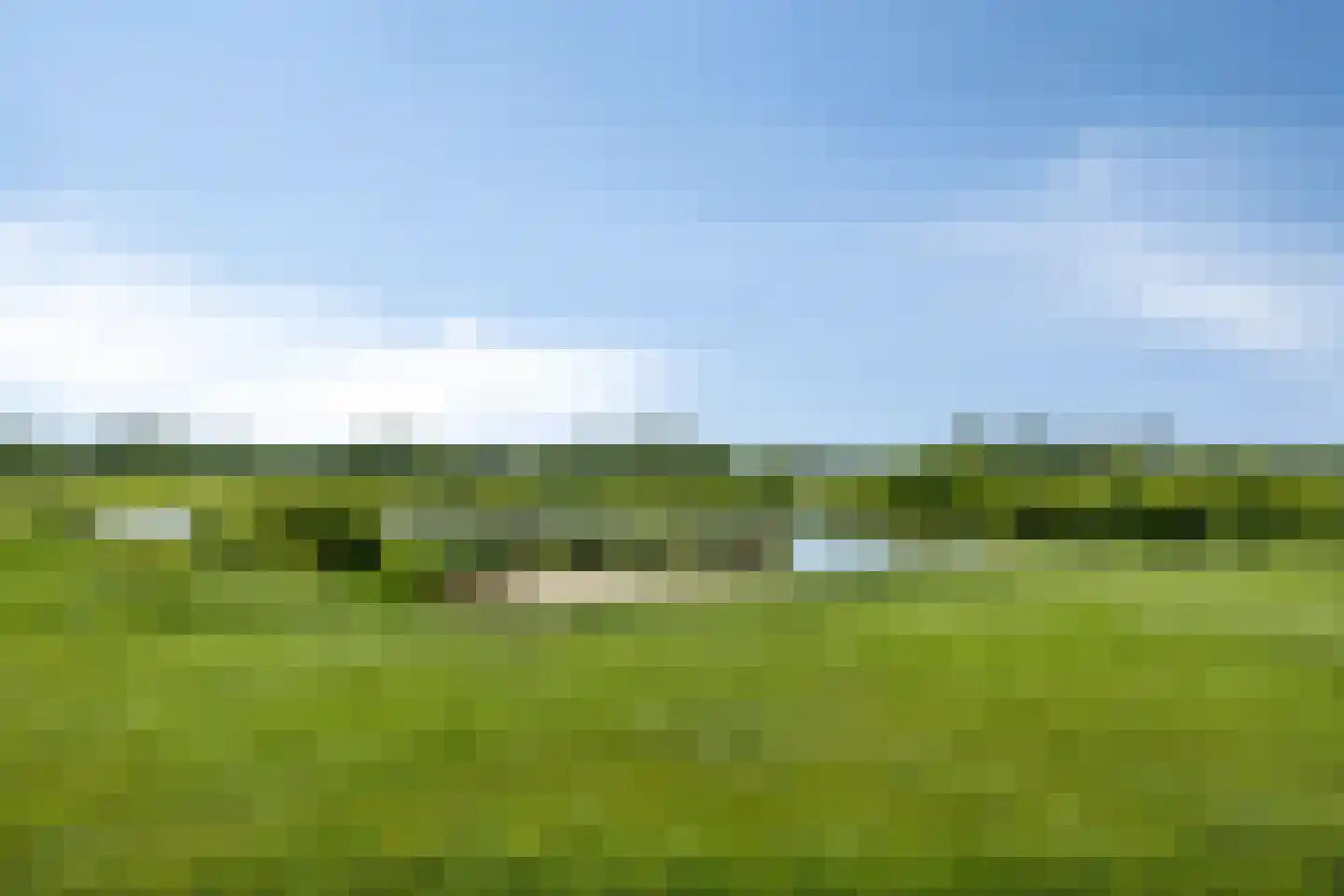 Rietgors 9 Bergen op Zoom thumbnail 9