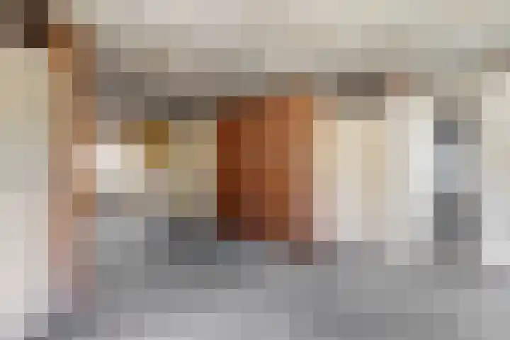 Rietgorshoek 14 Spijkenisse thumbnail 14