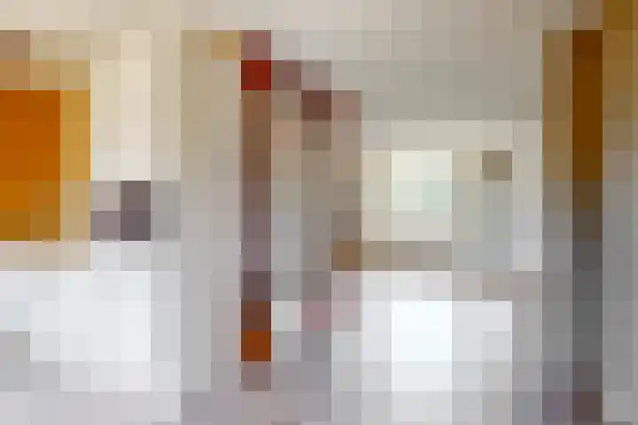 Rietgorshoek 14 Spijkenisse thumbnail 19
