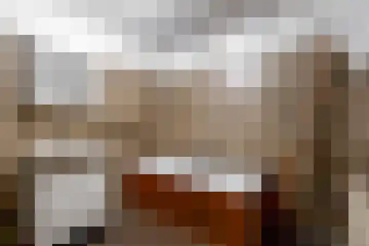 Rietgorshoek 14 Spijkenisse thumbnail 4
