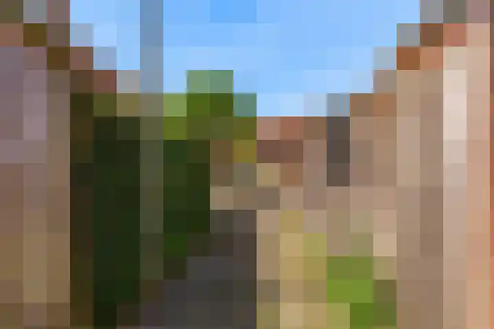 Rietgorshoek 14 Spijkenisse thumbnail 40