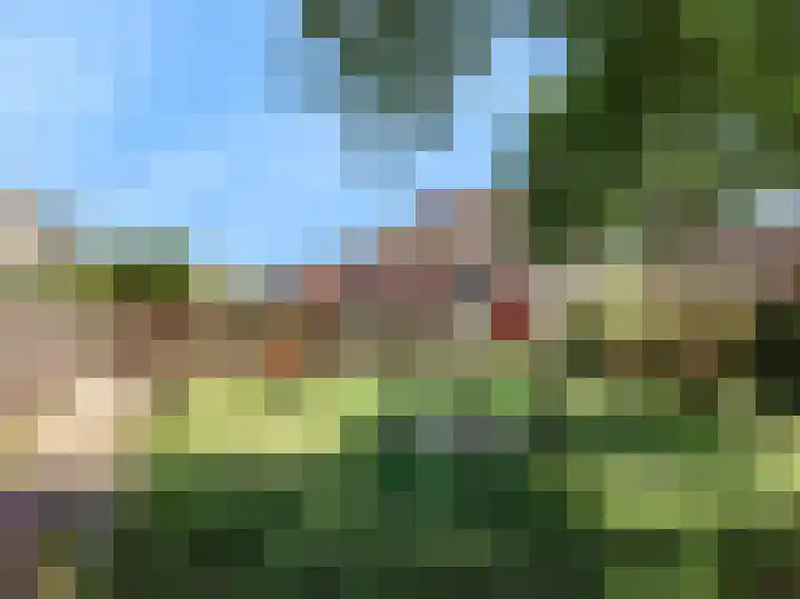 Rietgorshoek 14 Spijkenisse thumbnail 47