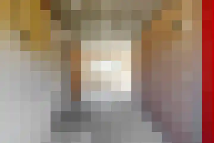 Rietgorshoek 14 Spijkenisse thumbnail 8