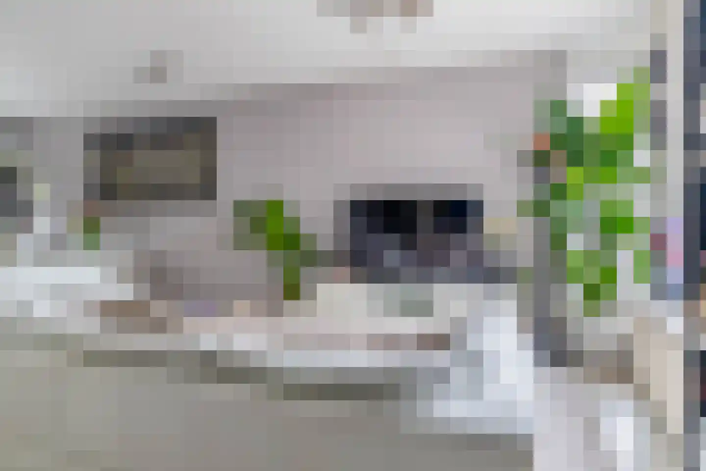 Rietgorshoek 2 Spijkenisse thumbnail 11
