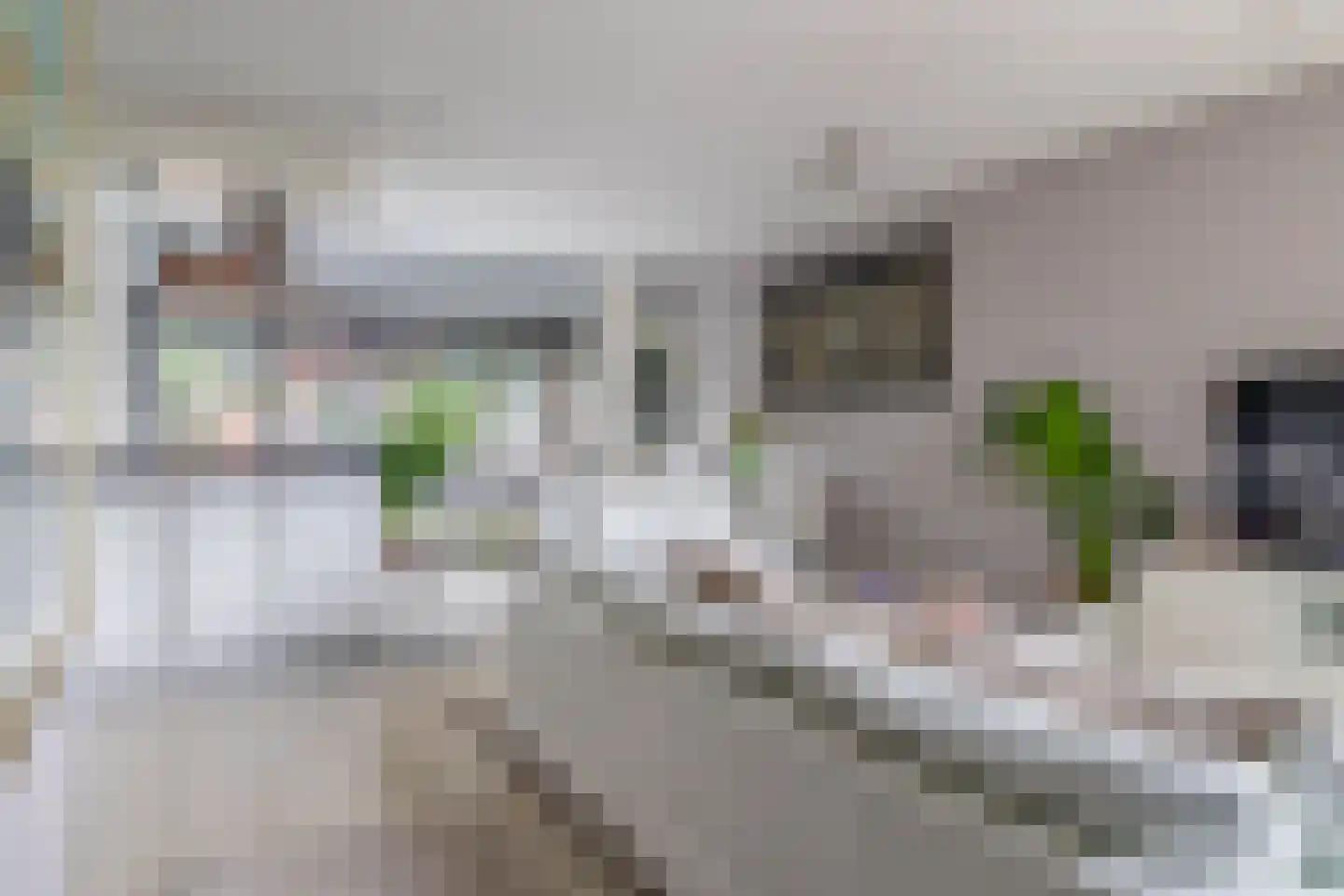 Rietgorshoek 2 Spijkenisse thumbnail 12