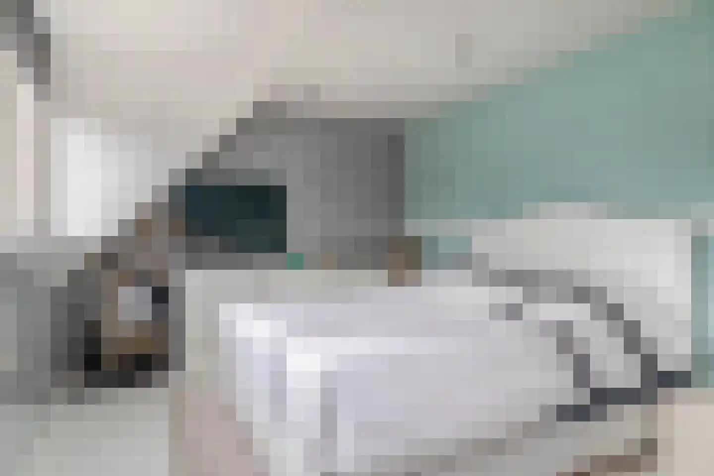 Rietgorshoek 2 Spijkenisse thumbnail 22