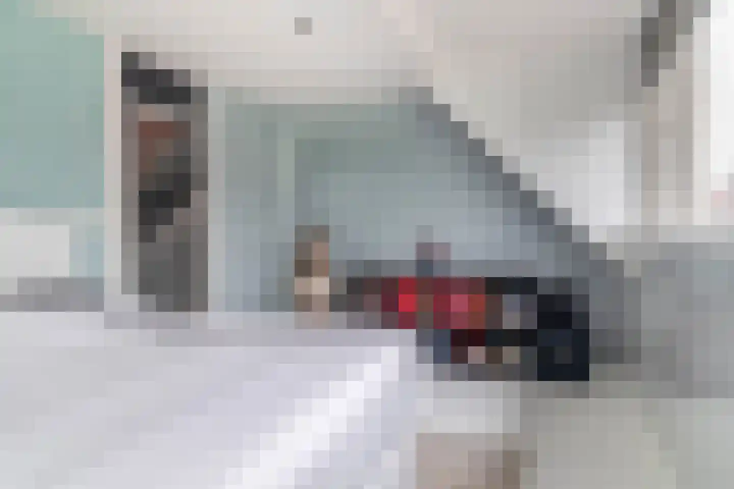 Rietgorshoek 2 Spijkenisse thumbnail 23