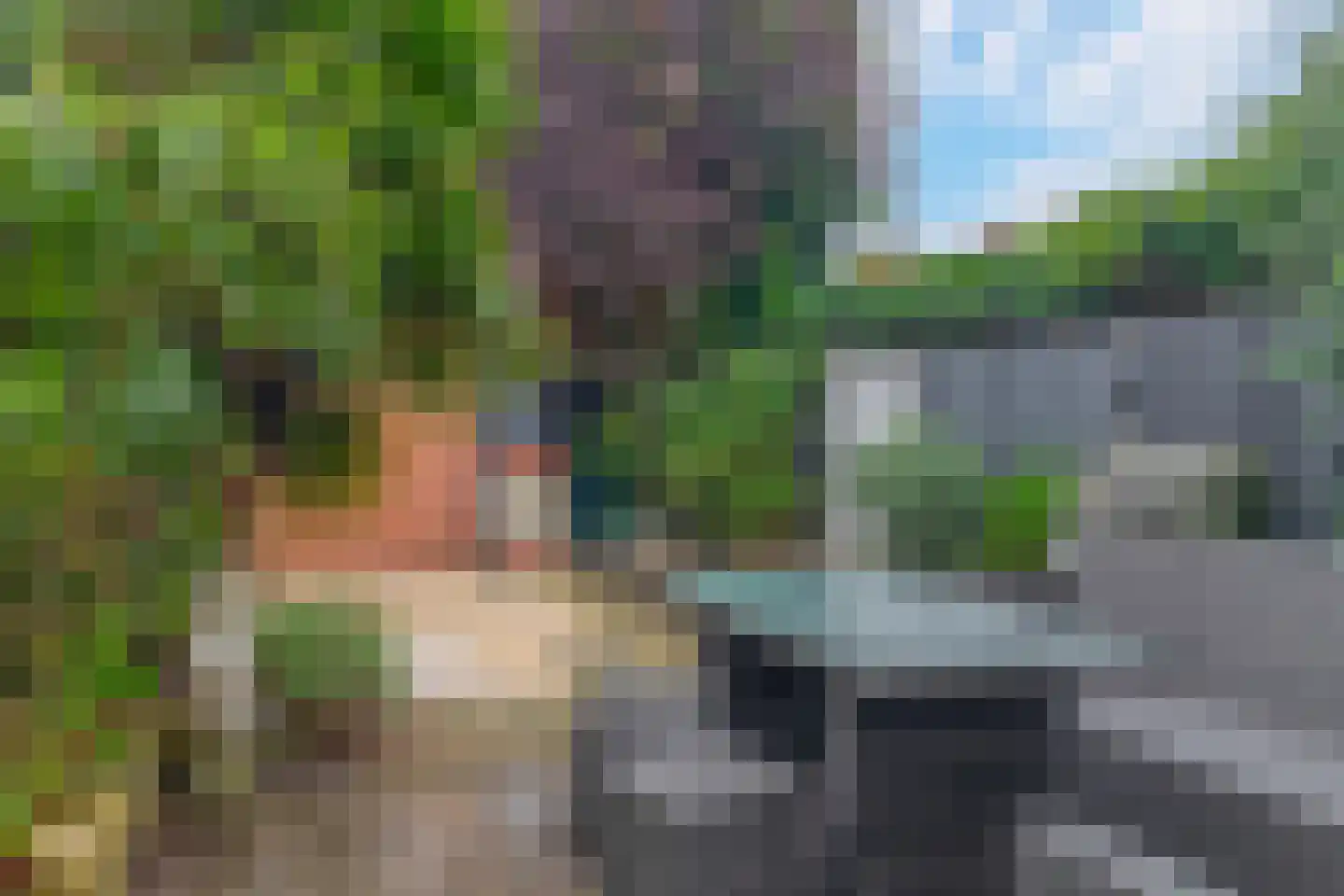 Rietgorshoek 2 Spijkenisse thumbnail 28