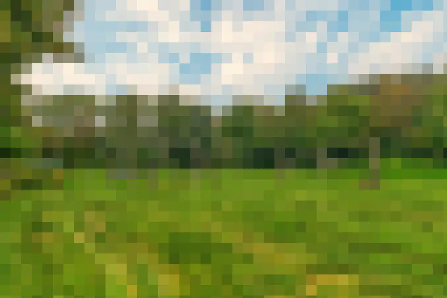 Rietgorshoek 2 Spijkenisse thumbnail 31