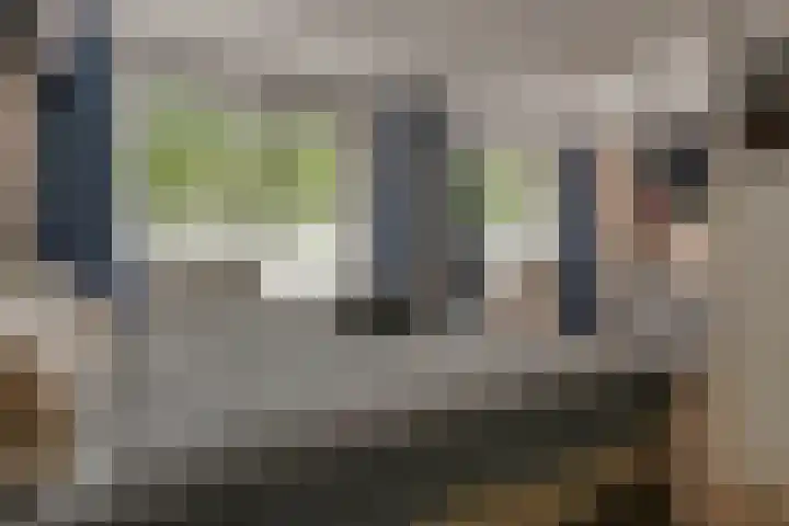 Rietgorslaan 23 Rozenburg thumbnail 22
