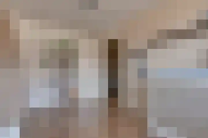 Rietgorslaan 23 Rozenburg thumbnail 25