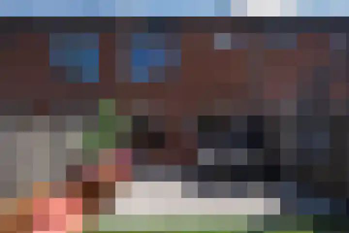 Rietgorslaan 23 Rozenburg thumbnail 32