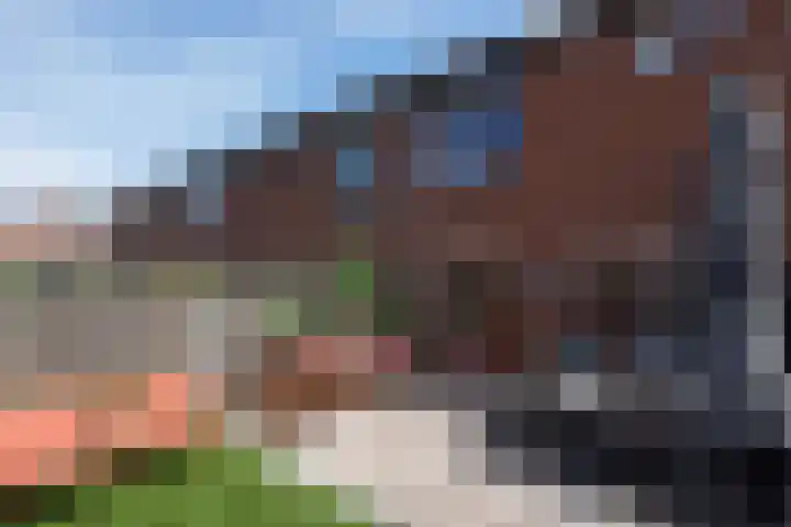 Rietgorslaan 23 Rozenburg thumbnail 33