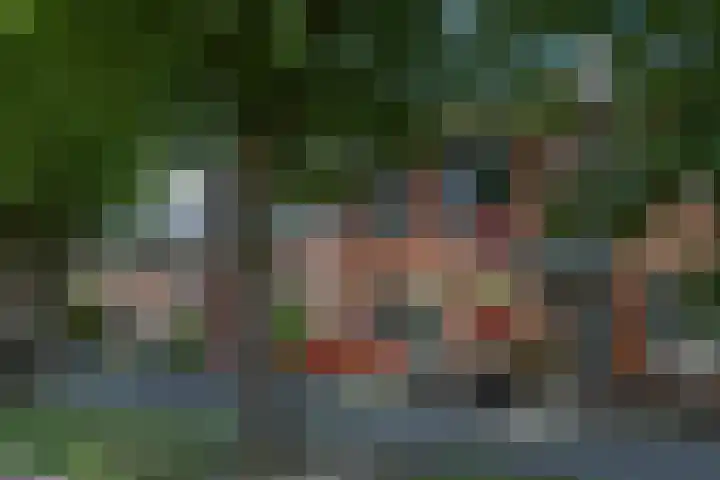Rietgorslaan 23 Rozenburg thumbnail 7