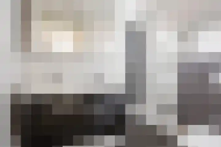 Rietgorslaan 41 Rozenburg thumbnail 31