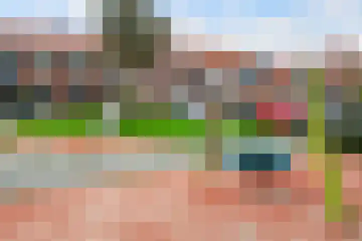 Rietgorslaan 41 Rozenburg thumbnail 41