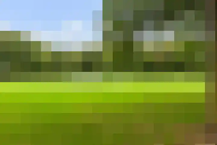 Rietgorslaan 41 Rozenburg thumbnail 42