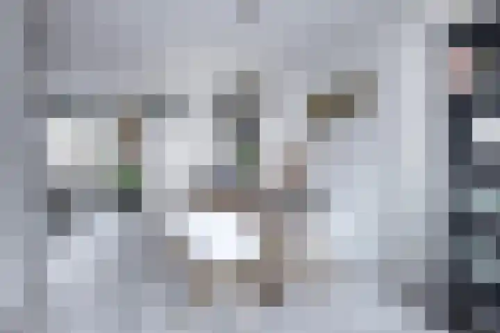 Rietgorslaan 7 Rozenburg thumbnail 14