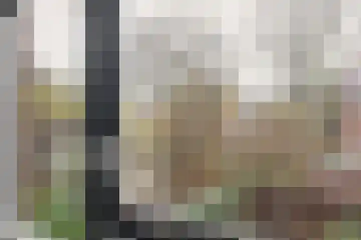 Rietgorslaan 7 Rozenburg thumbnail 23