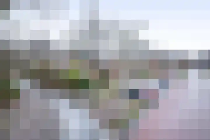 Rietgorslaan 7 Rozenburg thumbnail 43
