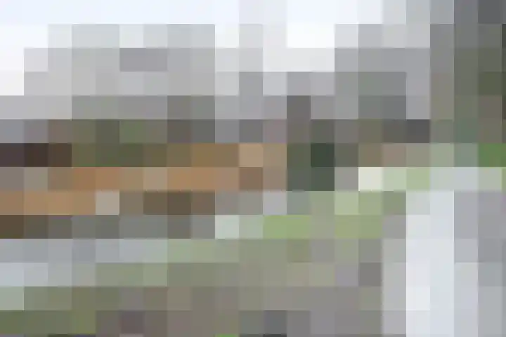 Rietgorslaan 7 Rozenburg thumbnail 48