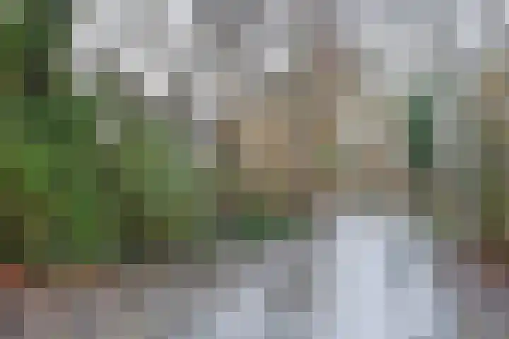 Rietgorslaan 7 Rozenburg thumbnail 49