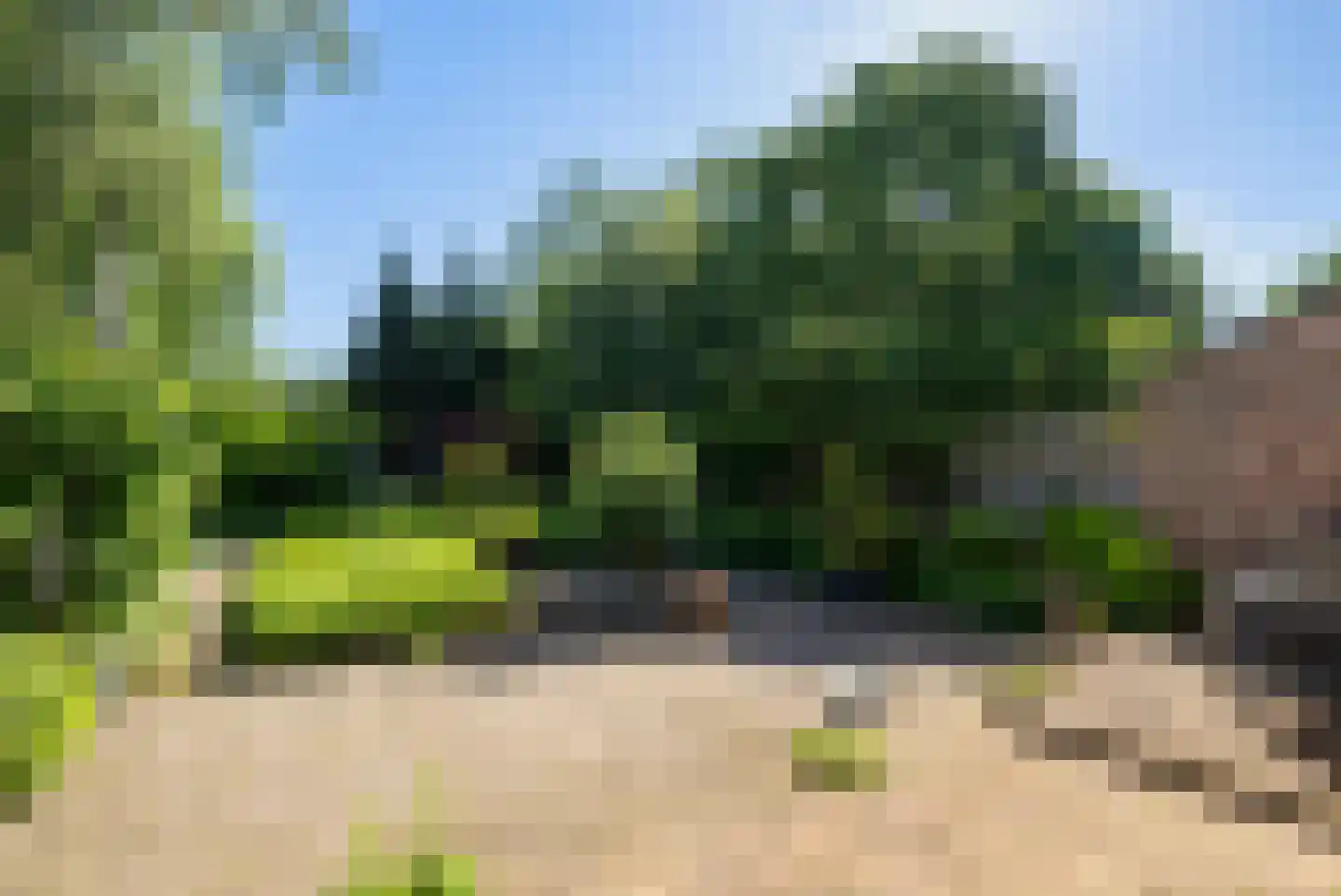 Rietgorsmeen 147 Harderwijk thumbnail 38