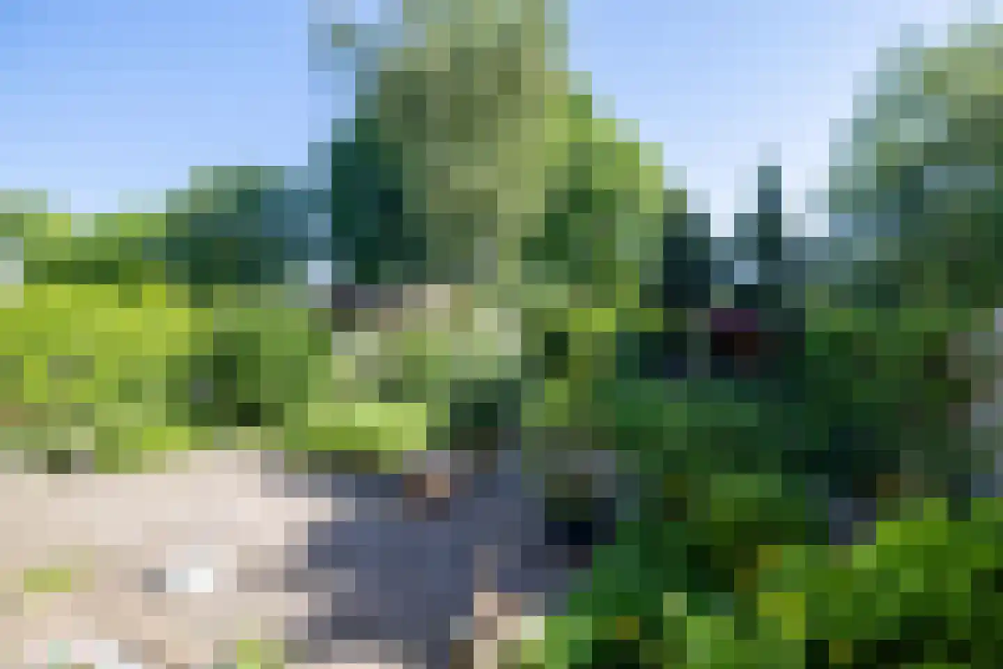 Rietgorsmeen 147 Harderwijk thumbnail 39